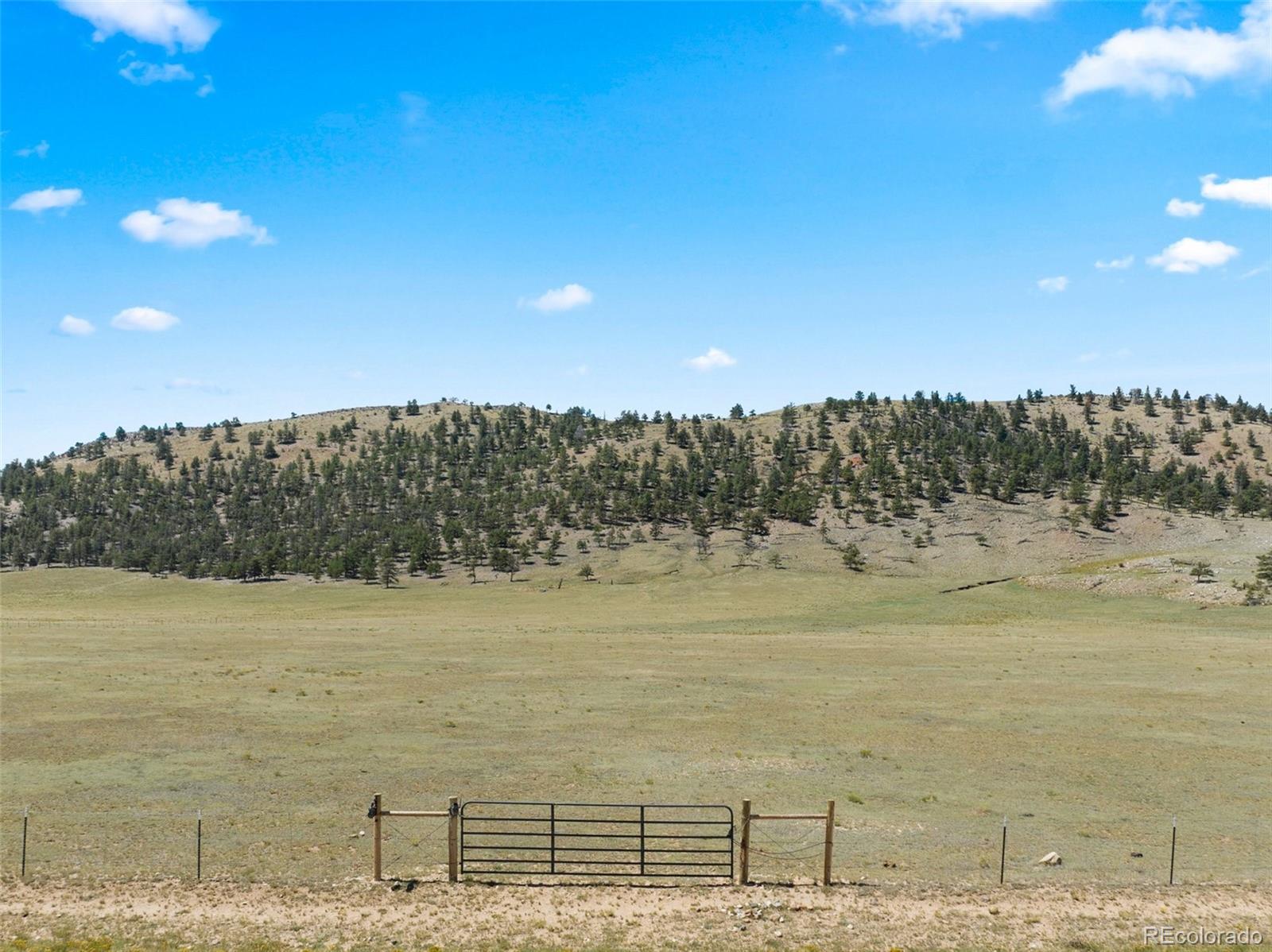 835 Sulphur Mountain