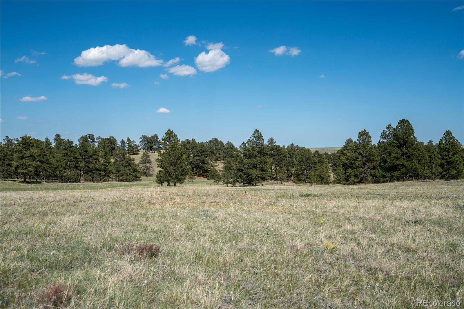 TBD-3 Paradise Circle