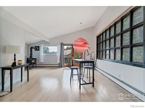 602 W 3rd Street Nederland CO 80466