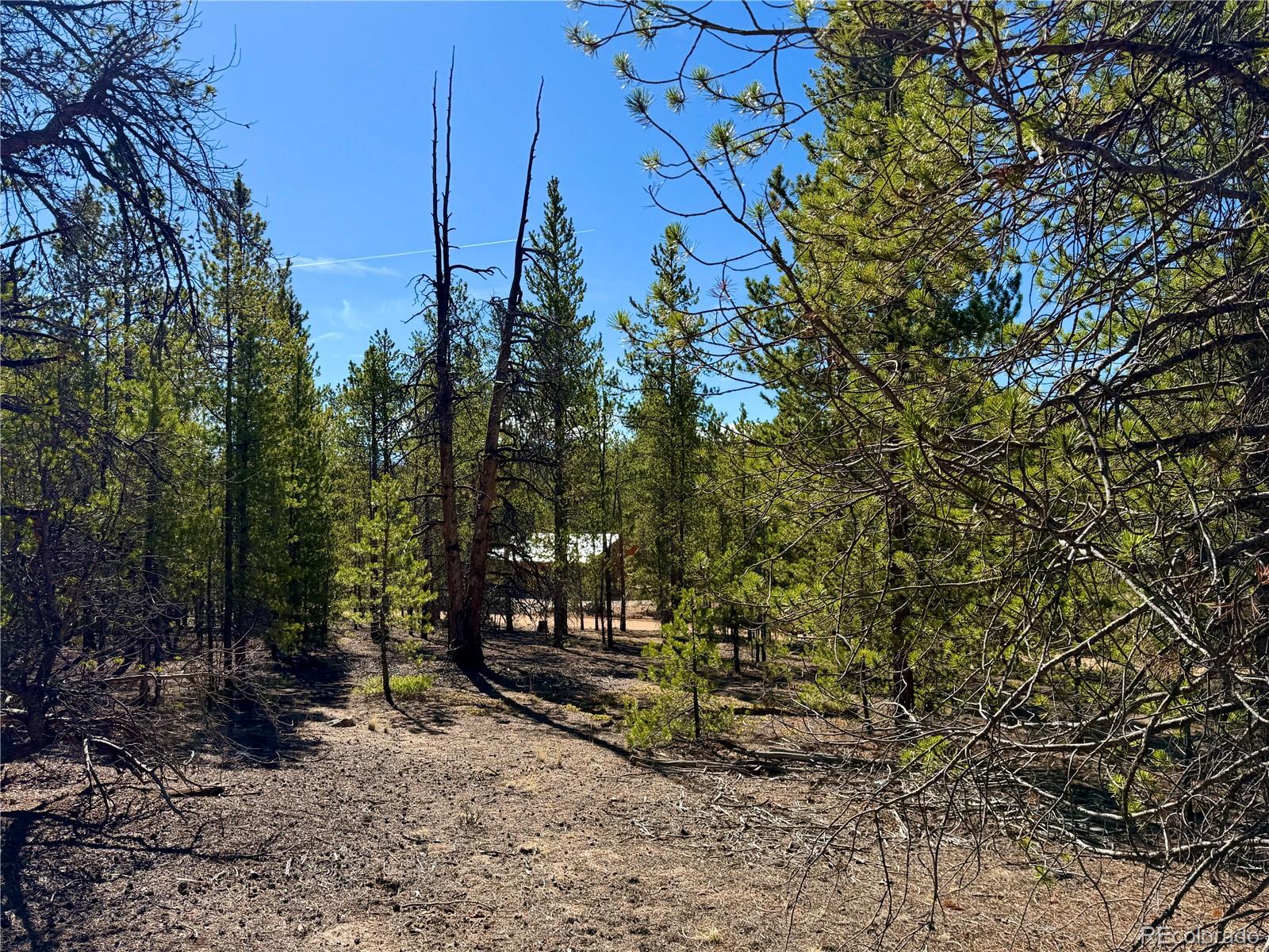 341 Aspen Drive