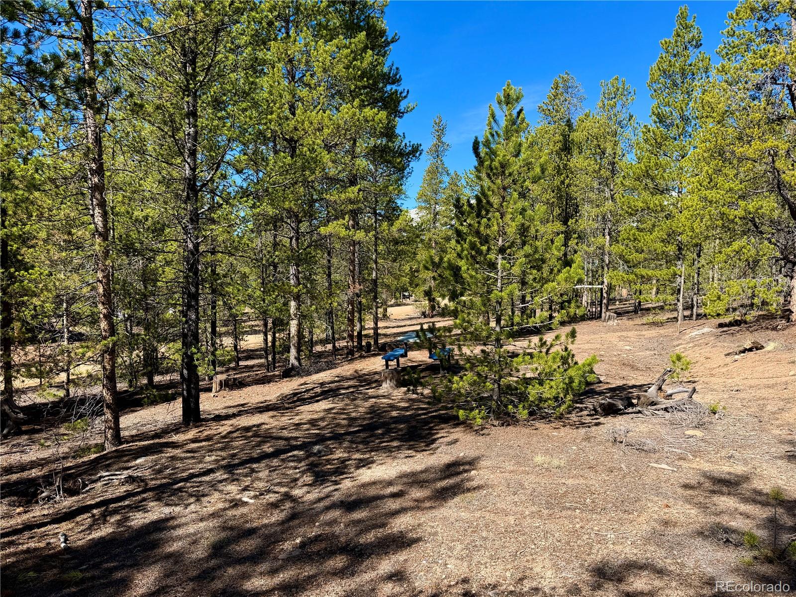 341 Aspen Drive