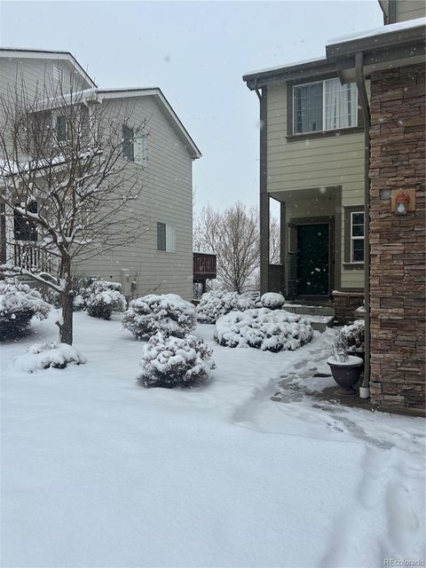 1497 Willow Oak Road Castle Rock CO 80104