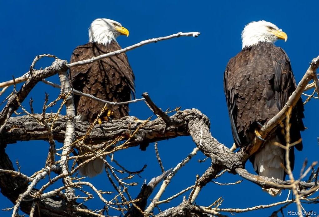 965 S Miller Street 203