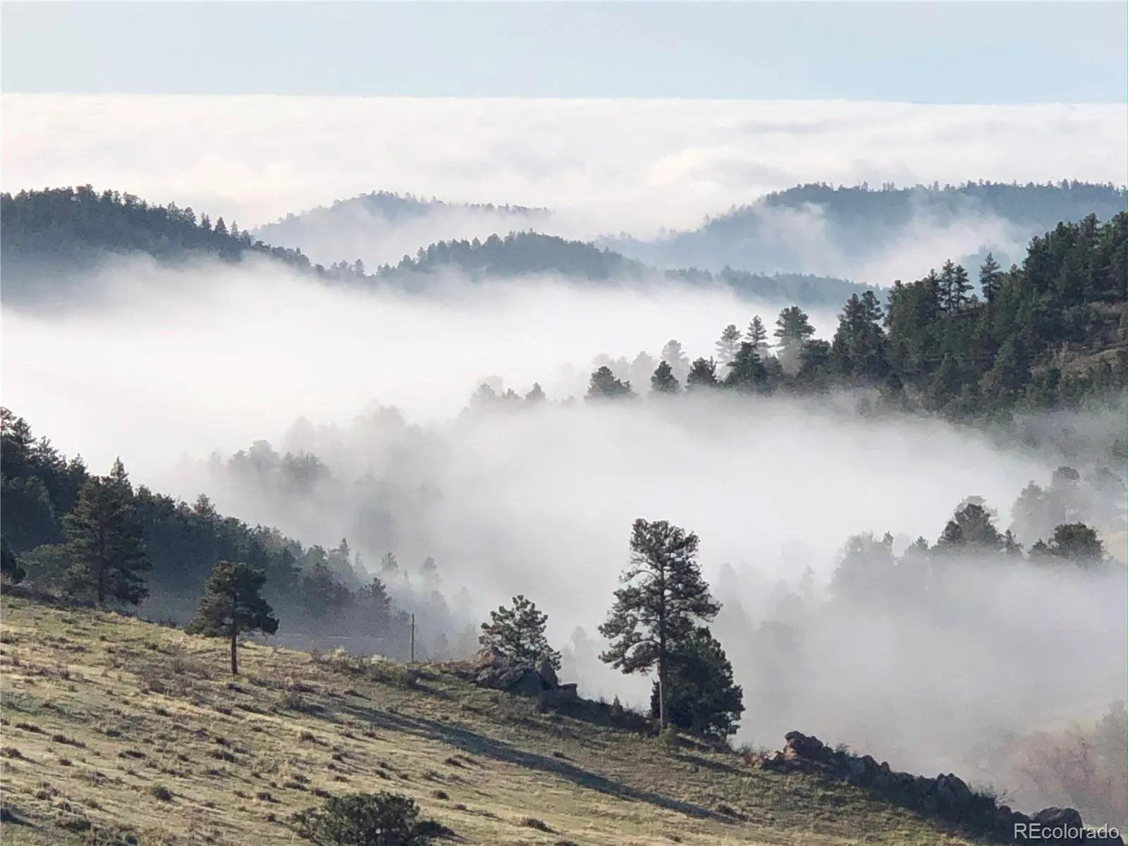 Golden, Colorado 80403, United States, 5 Bedrooms Bedrooms, ,3 BathroomsBathrooms,Residential,Active,171009