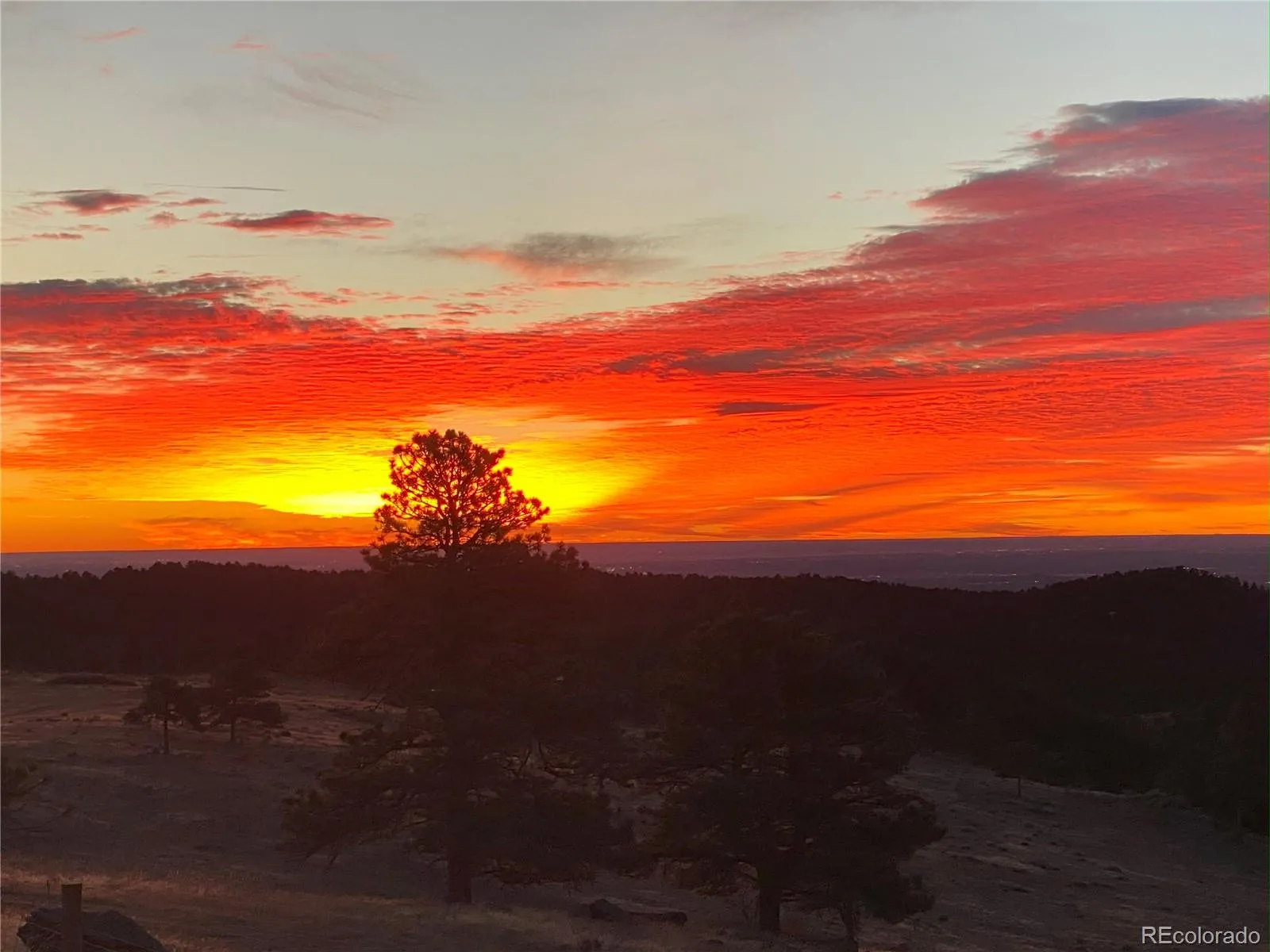 Golden, Colorado 80403, United States, 5 Bedrooms Bedrooms, ,3 BathroomsBathrooms,Residential,Active,171009