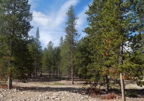 480 Ridge Road Twin Lakes CO 81251