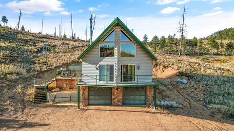 3631 Cr 33 Drive 33 Florissant CO 80816