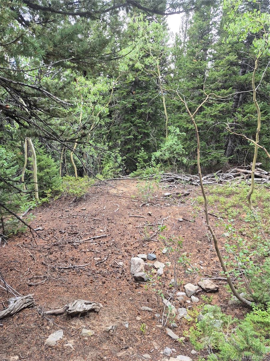 1900 County Road 128J