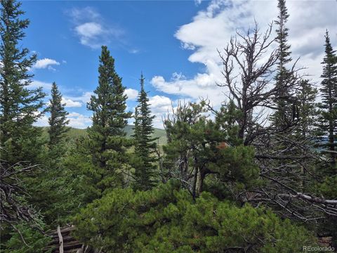 1900 County Road 128J Nederland CO 80466