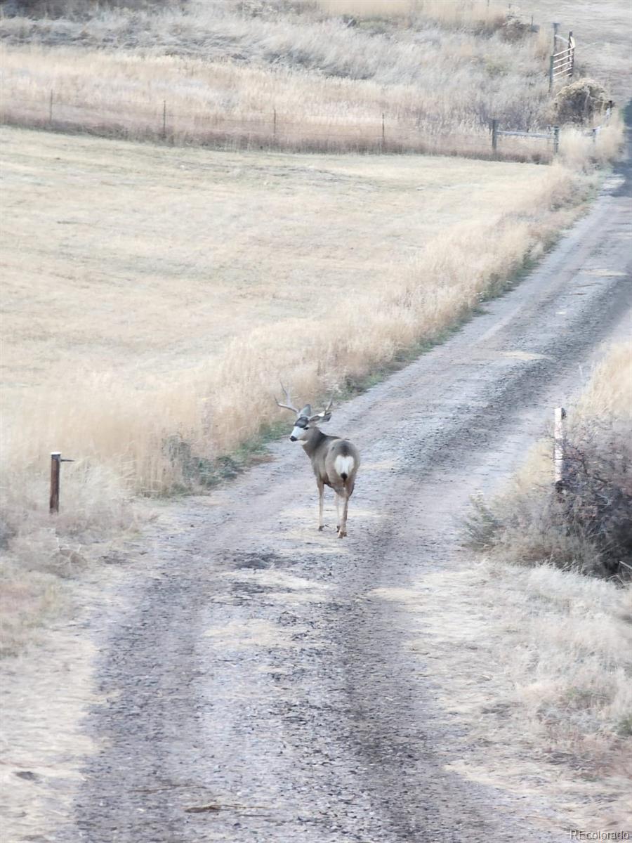 940 S County Road 29
