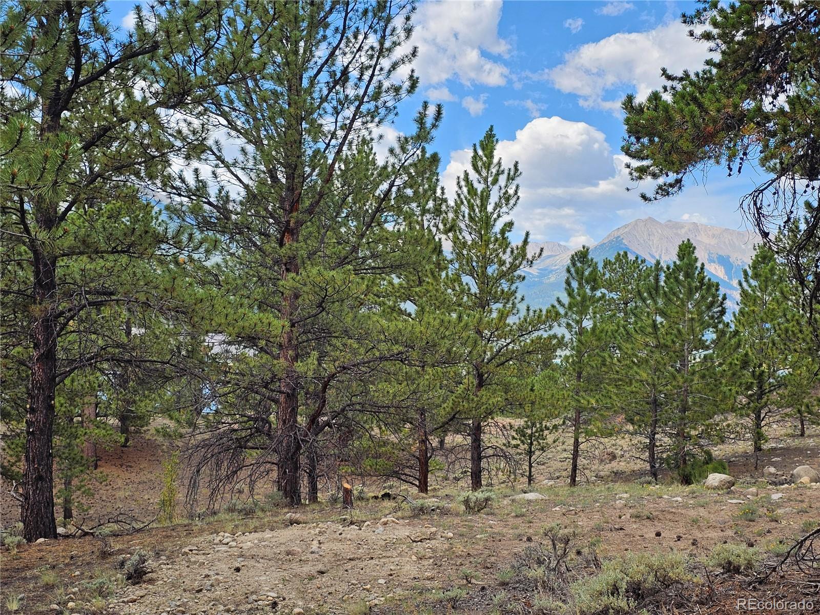 142 La Plata Peak Drive