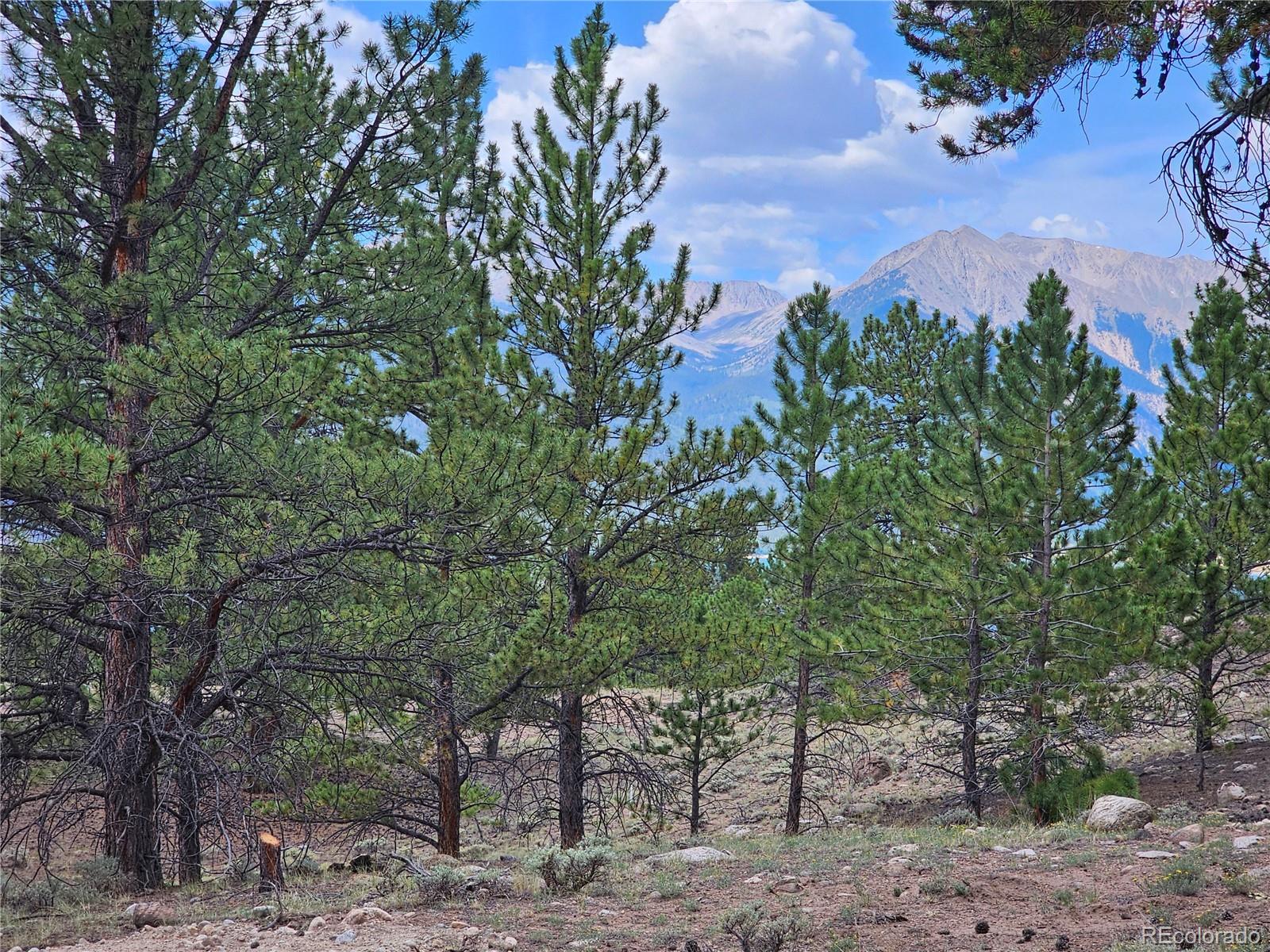 142 La Plata Peak Drive