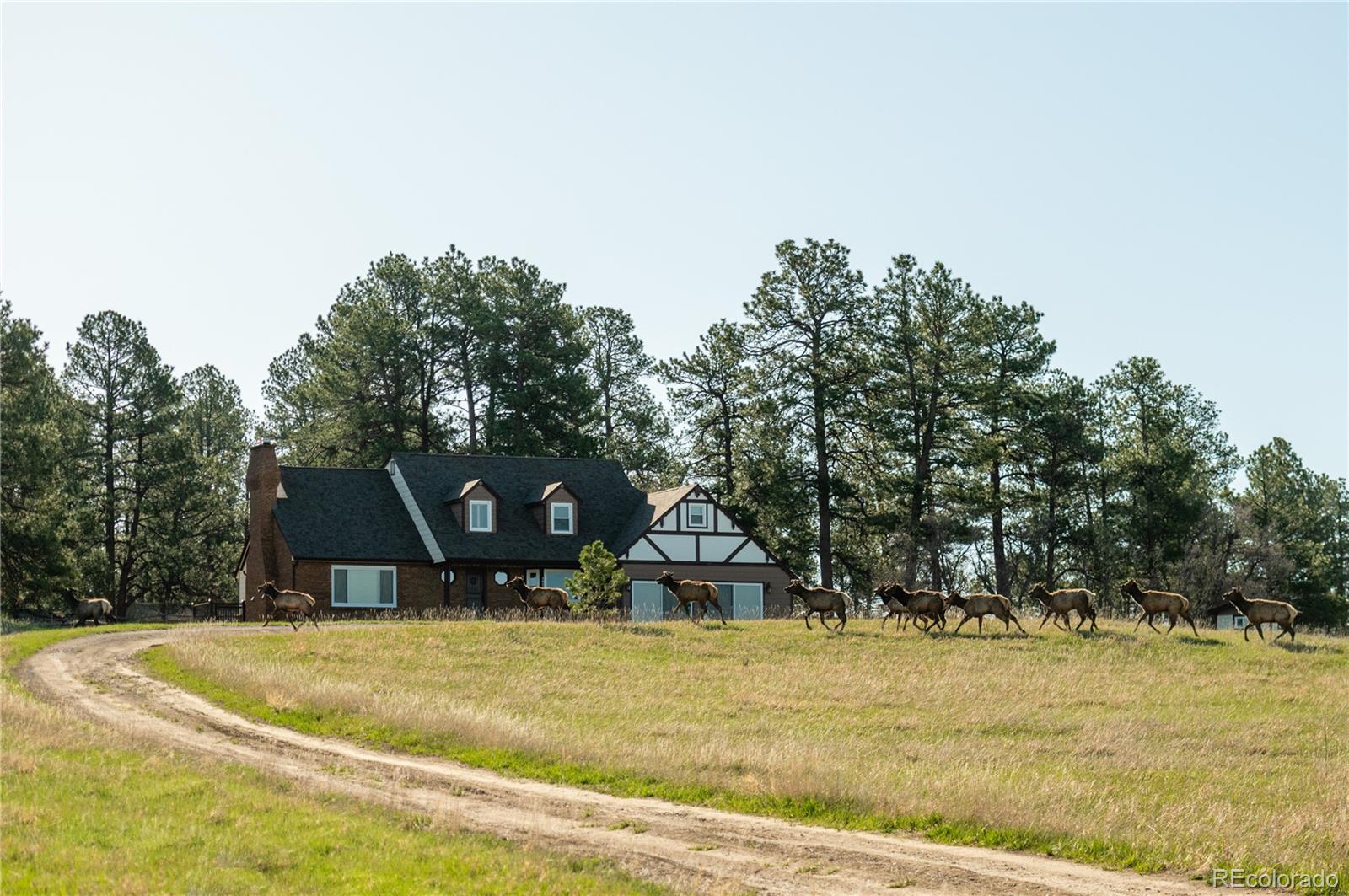 10522 Bayou Gulch Road
