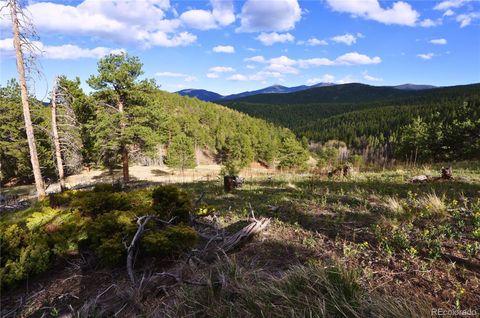 000 Turkey Gulch Road Idaho Springs CO 80452