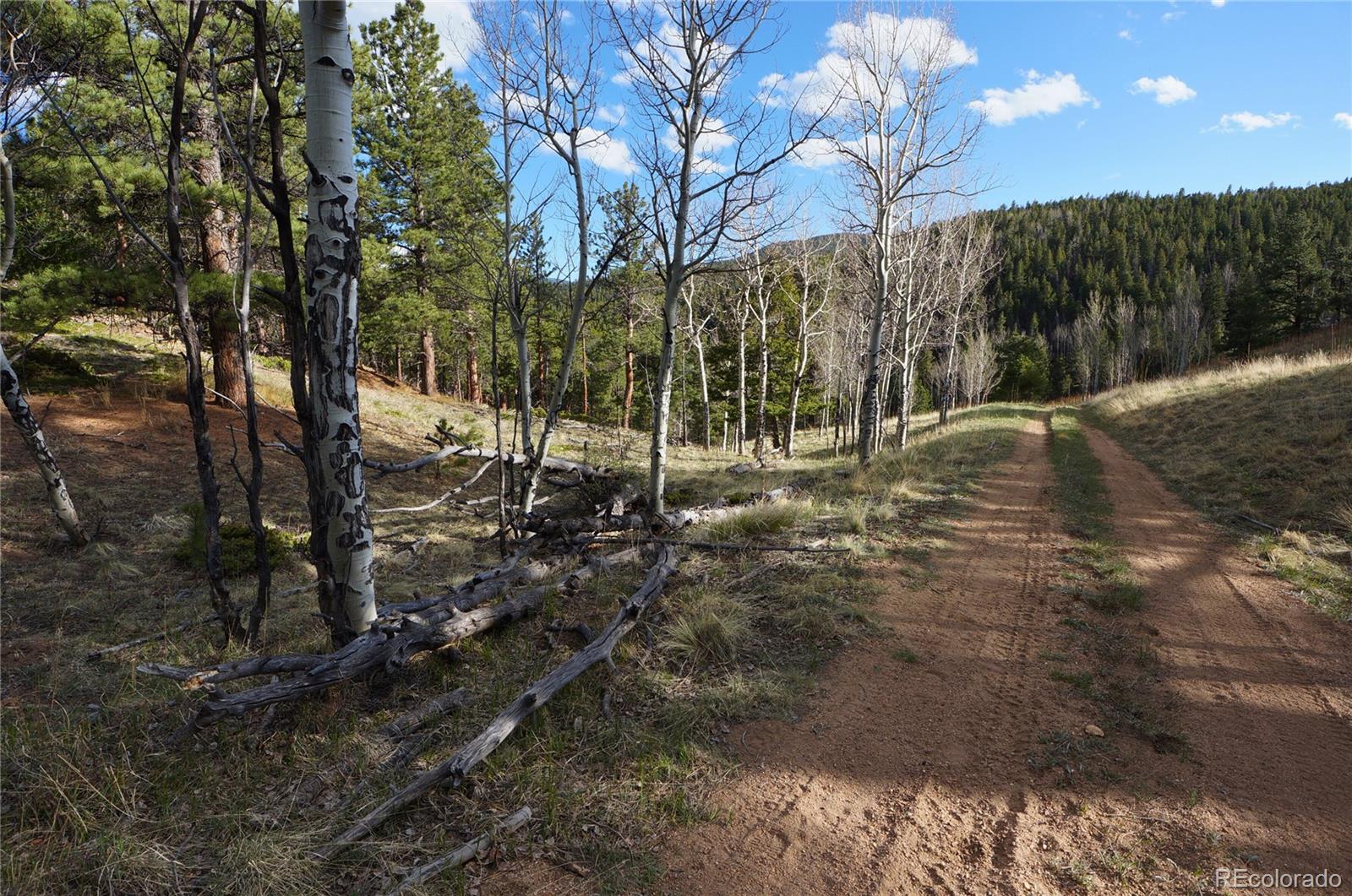 000 Turkey Gulch Road