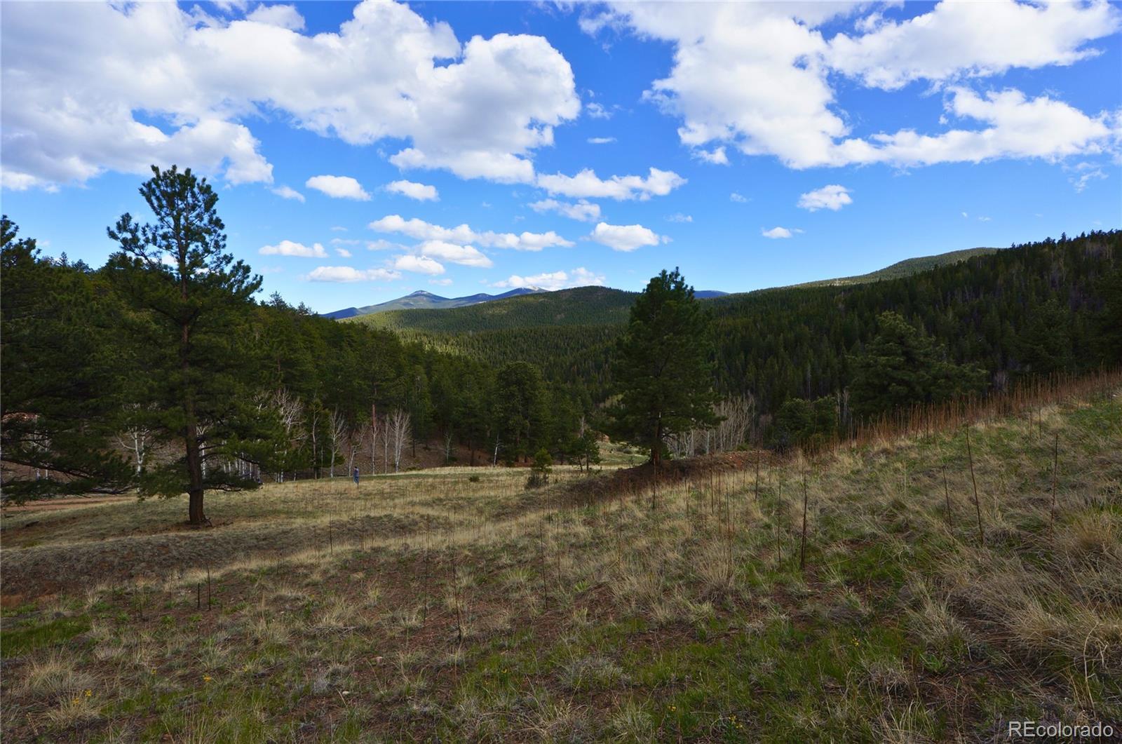 000 Turkey Gulch Road