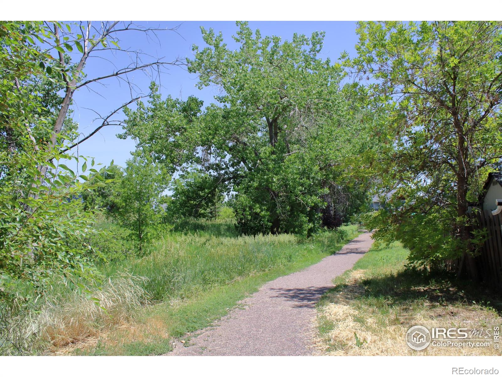 308 Baron Avenue, Lafayette, CO, 80026 3 308 Baron Avenue