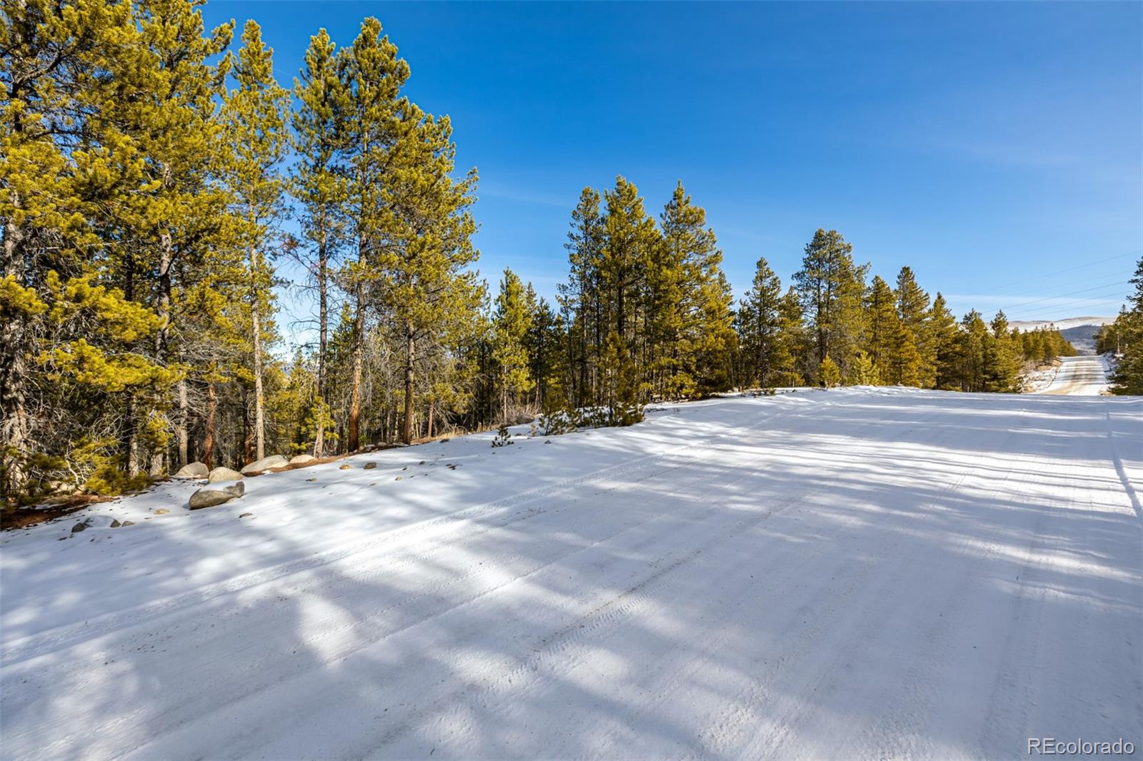 7205 Brassfield Drive