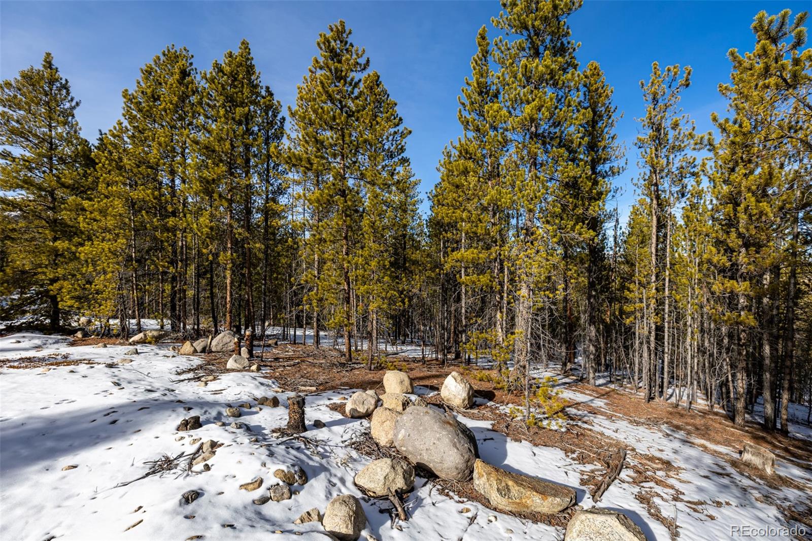 7205 Brassfield Drive