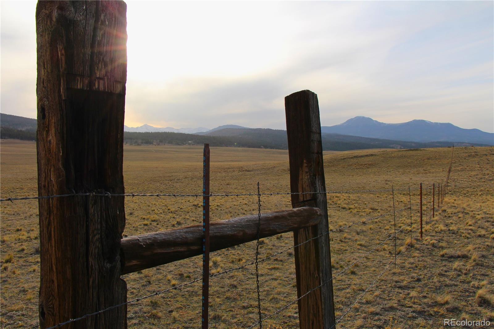 1071 Wagon Wheel Road