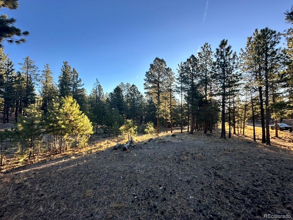 16703 Pine Grove Parkway