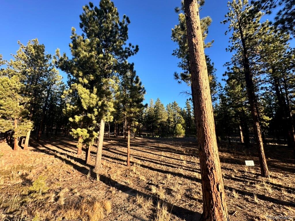 16703 Pine Grove Parkway