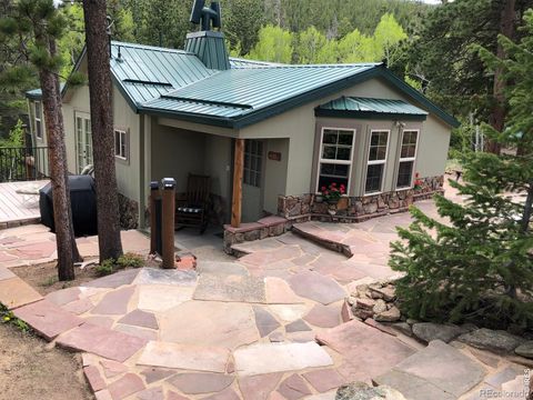 131 County Road 90 Allenspark CO 80510