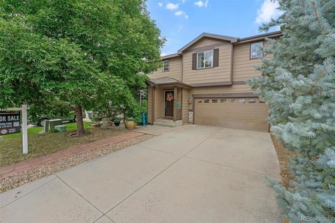6193 Brantly Avenue Castle Rock CO 80104