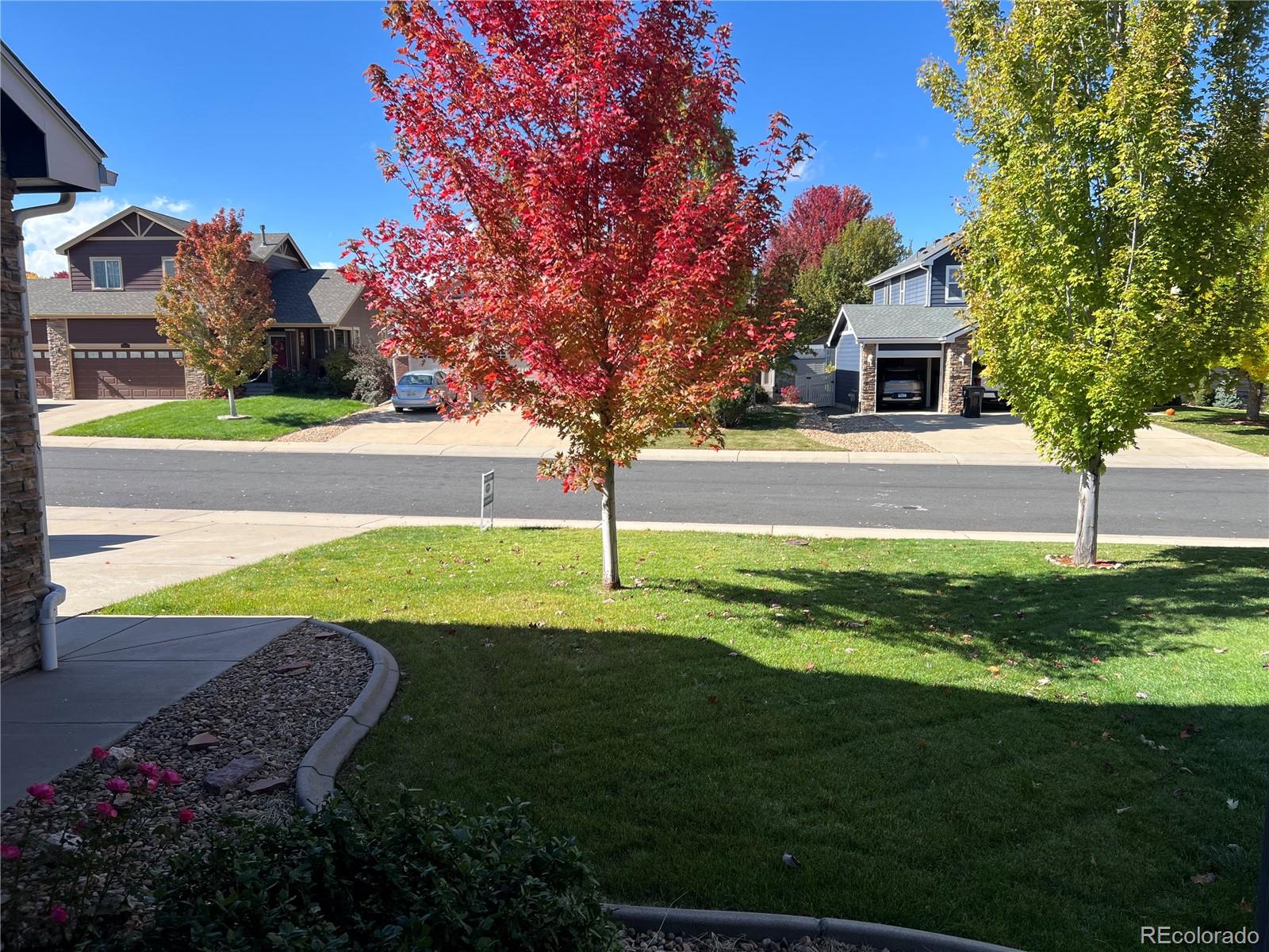 10208 Ferncrest Street, Firestone, CO, 80504 2 10208 Ferncrest Street