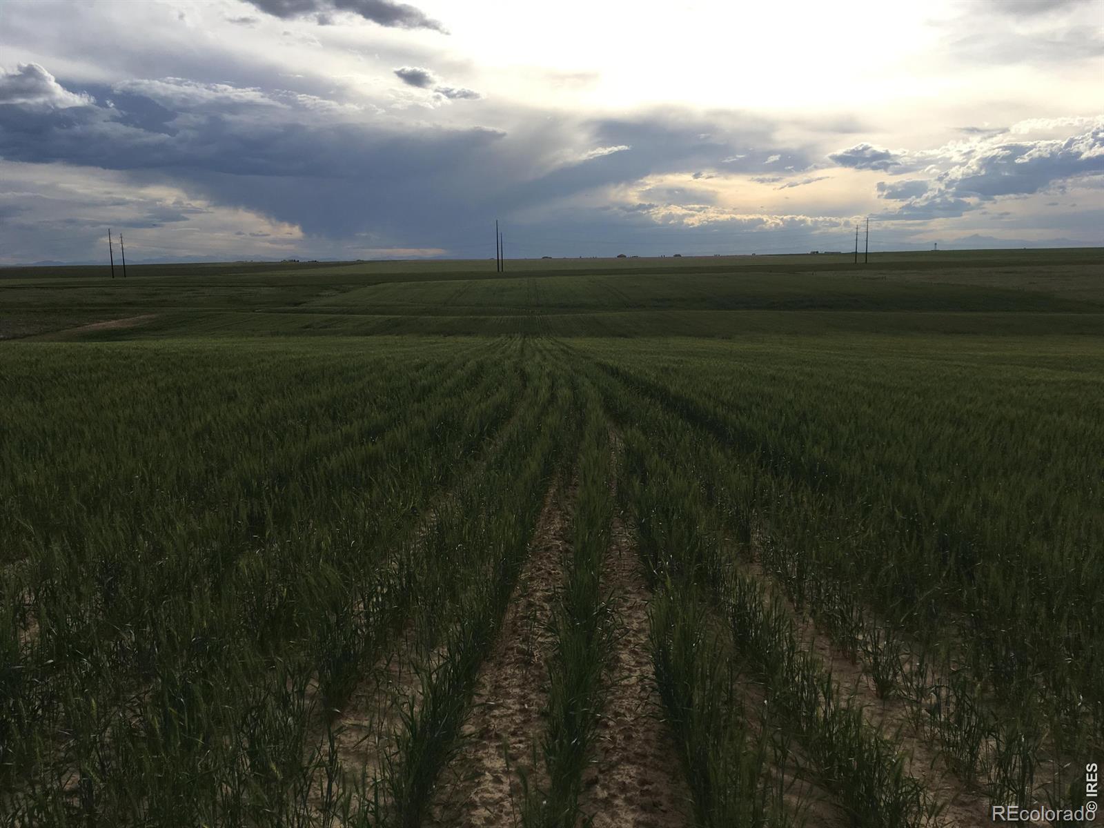 8551 Flint Ridge Street