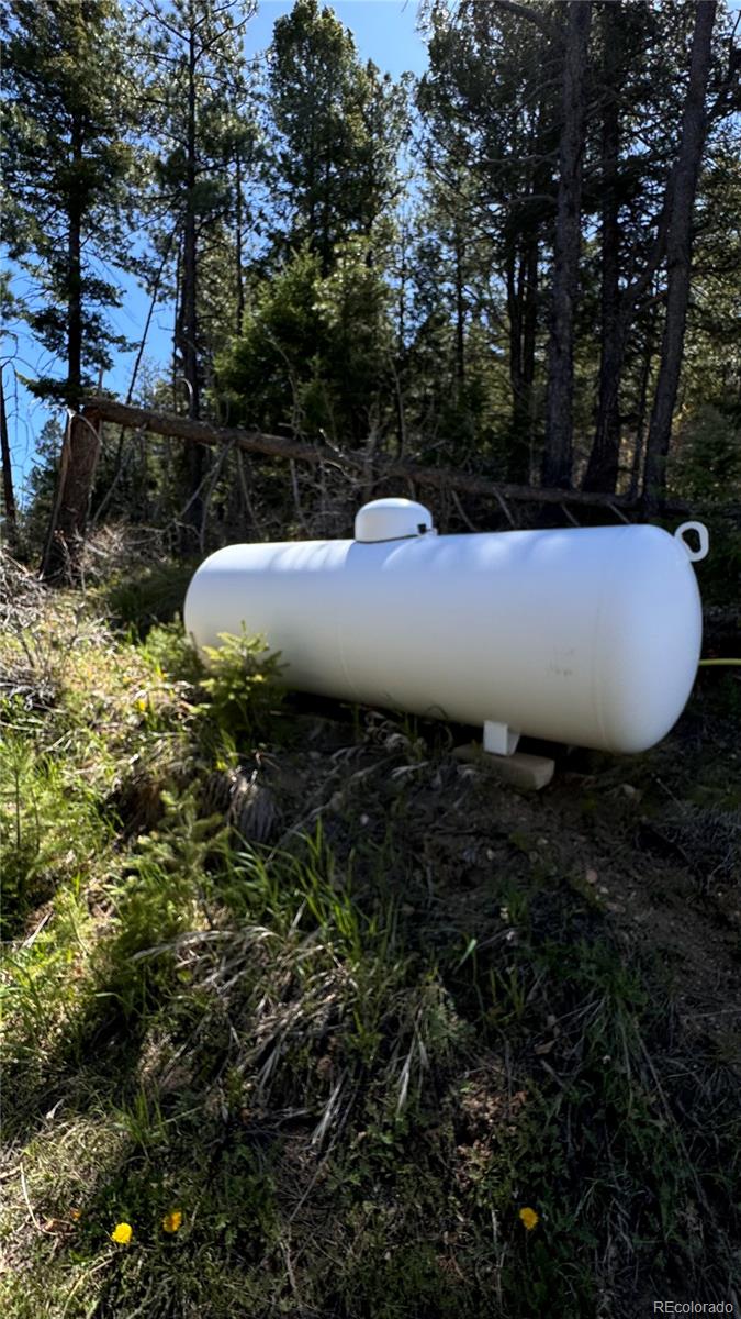 17222 Little Shadow Trail