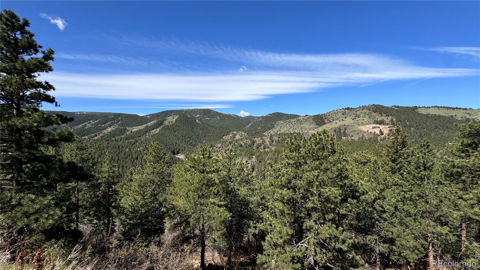 17222 Little Shadow Trail