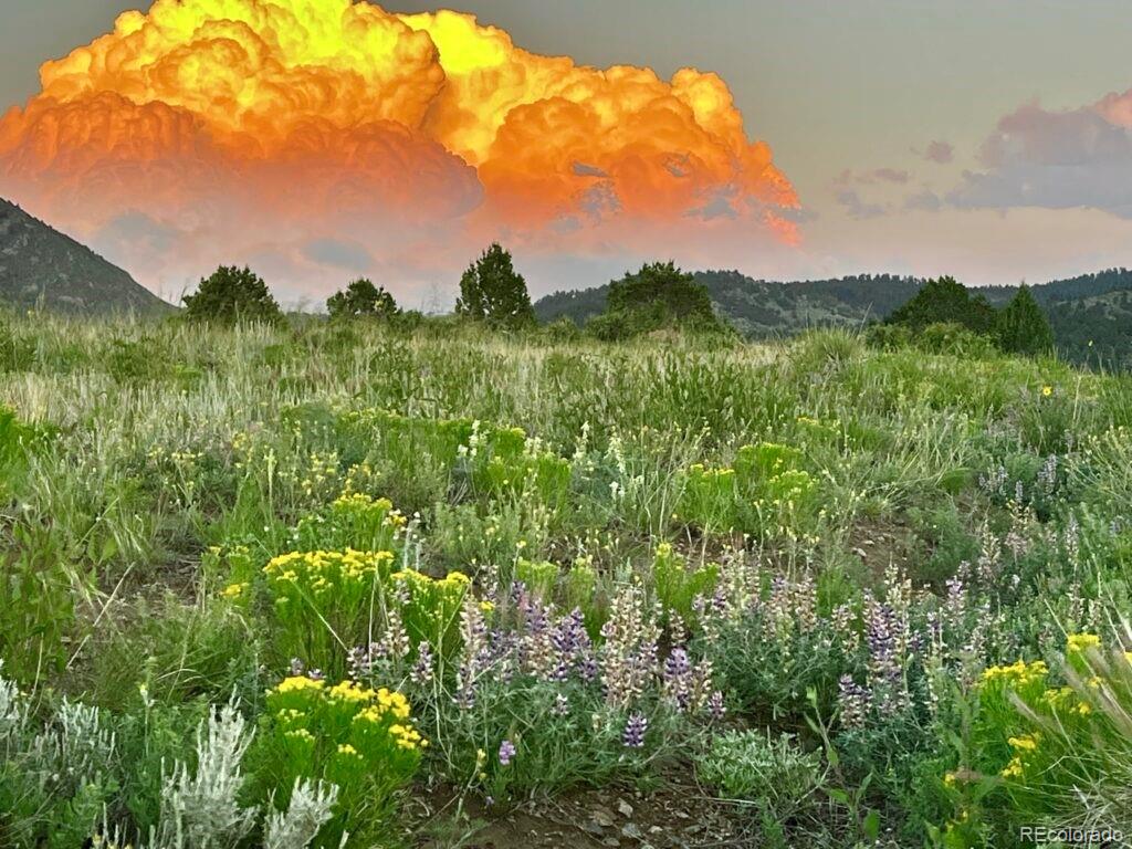 Rural Custer County