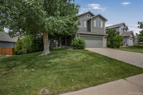 611 Branding Iron Lane Castle Rock CO 80104