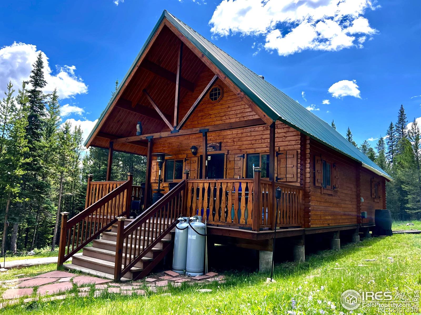 10000 Forest Service Road 169