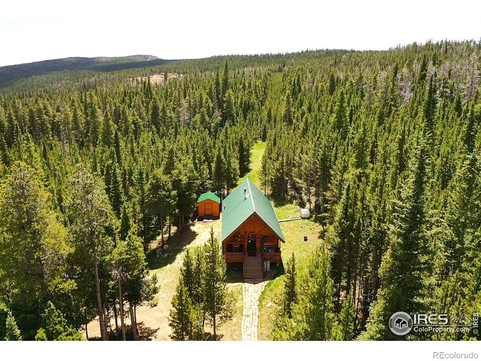 10000 Forest Service Road 169