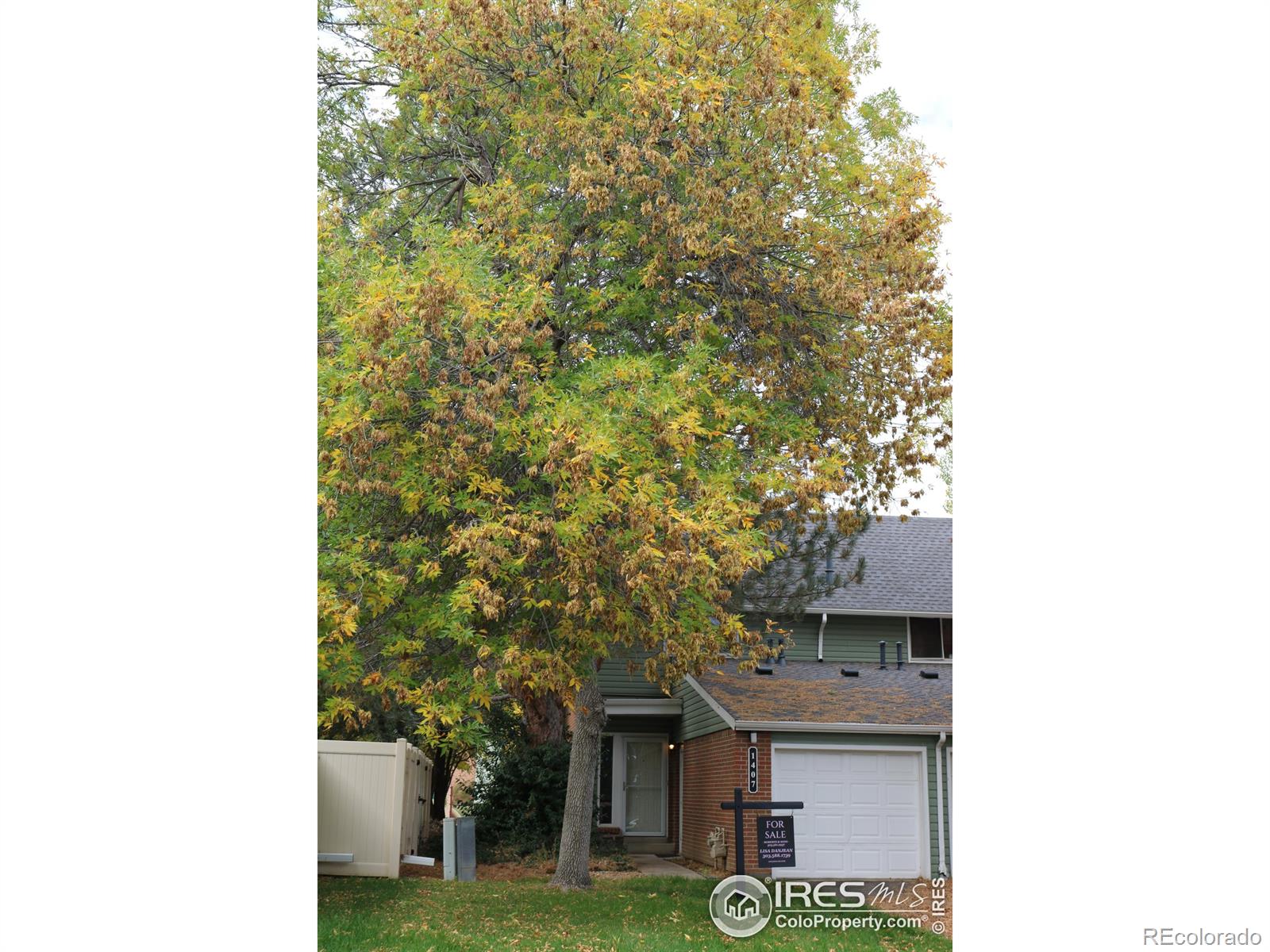 1407 Lydia Drive 61, Lafayette, CO, 80026 2 1407 Lydia Drive 61