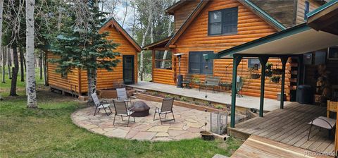 1100 Laker Lane Fort Garland CO 81133