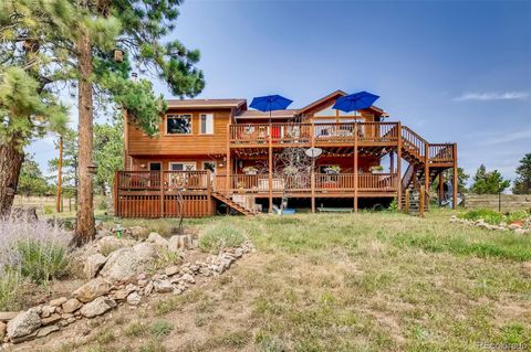 378 Conifer Drive Bailey CO 80421