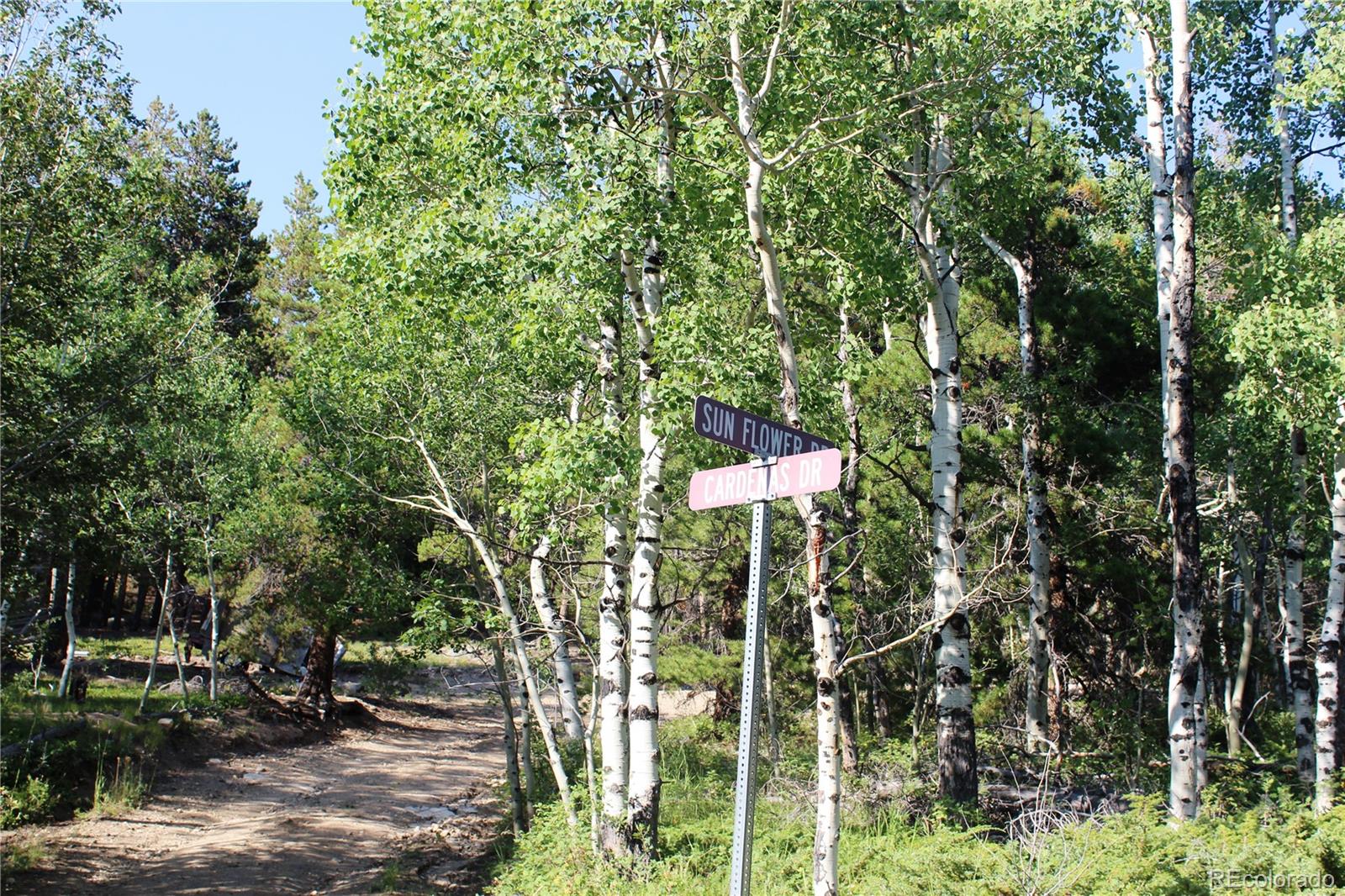 Lot 028 Sunflower Lane