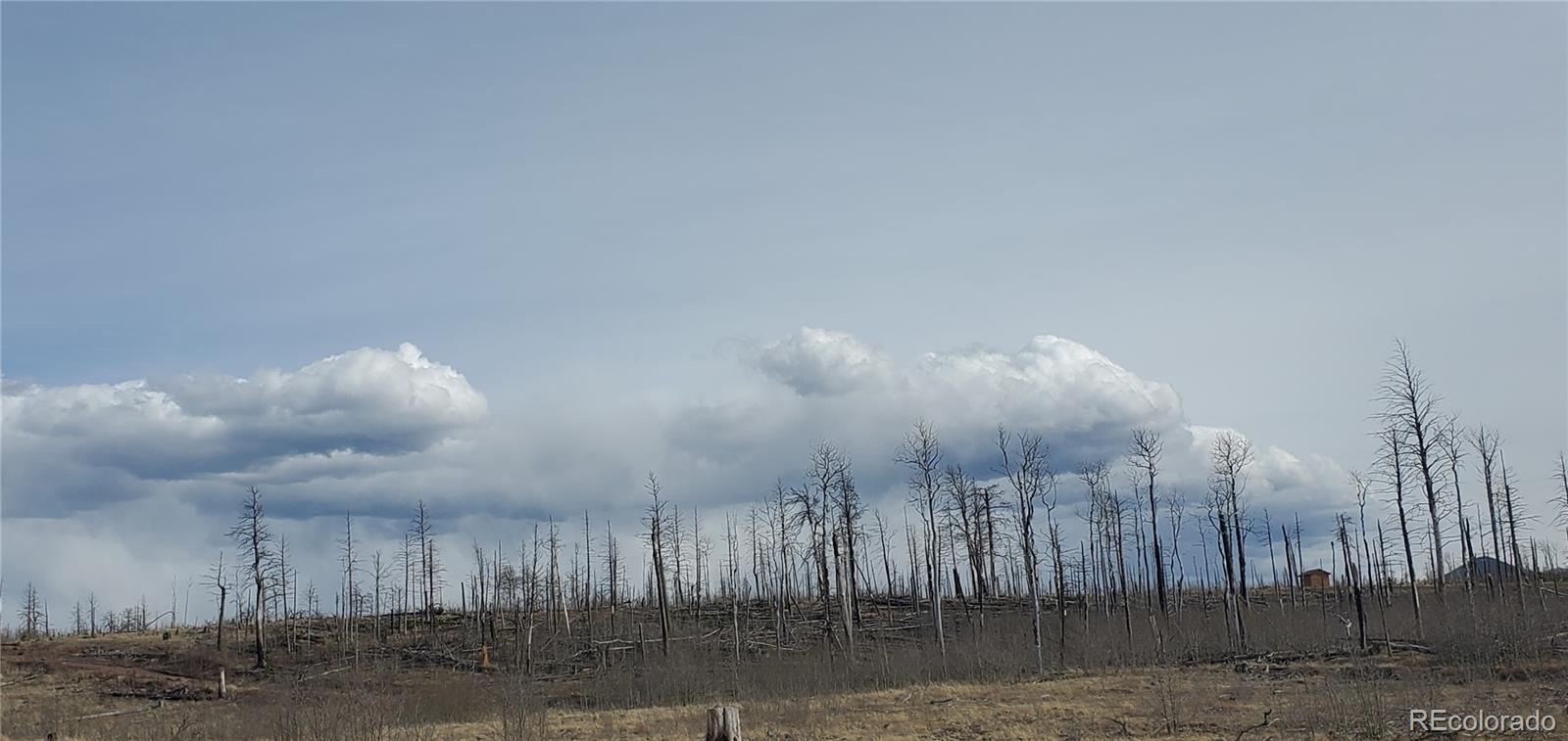 Lot 1227 Granville Loop