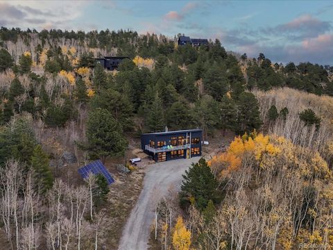 1044 Alps Hill Road Central City CO 80452