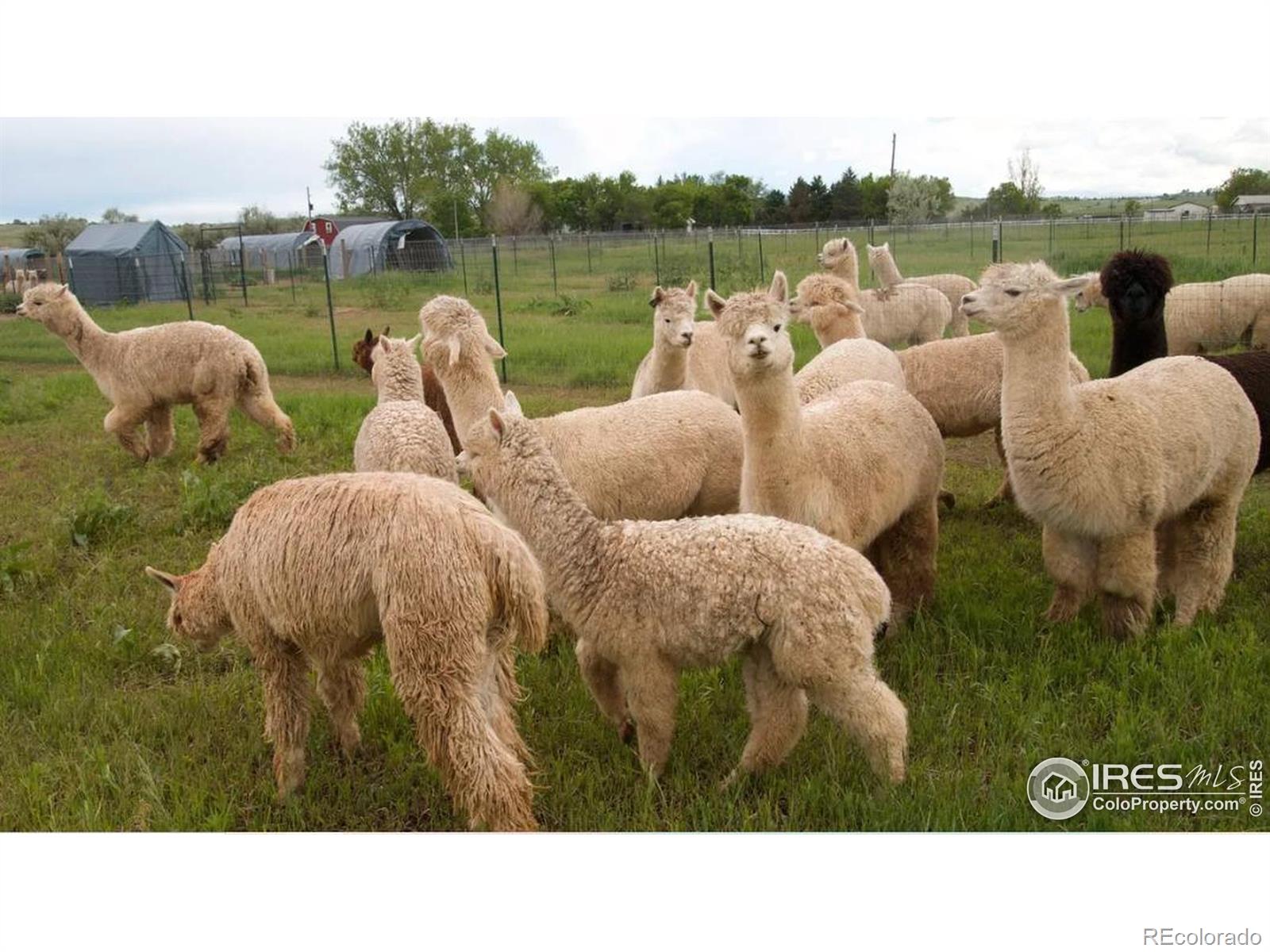 1203 S 112th Street, Lafayette, CO, 80026 2 1203 S 112th Street