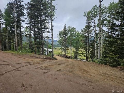Lot 2841 Wendt Lane Fort Garland CO 81133