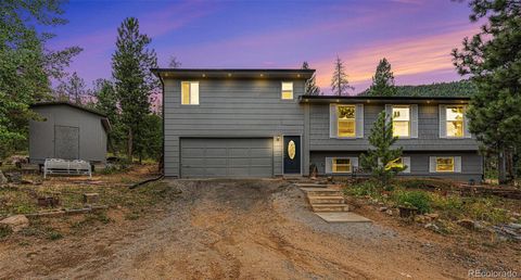 10142 S Turkey Creek Road Morrison CO 80465