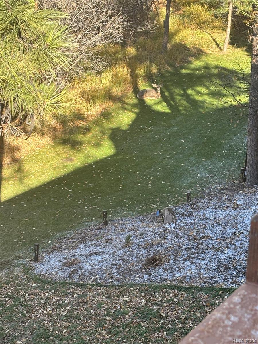 7049 Forest Ridge Circle