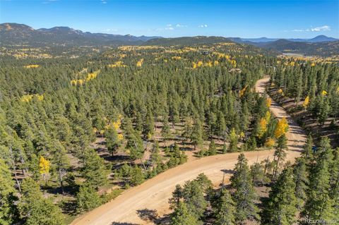 1001 Royal Ridge Drive Bailey CO 80421