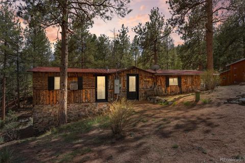 15535 S Elk Creek Road Pine CO 80470