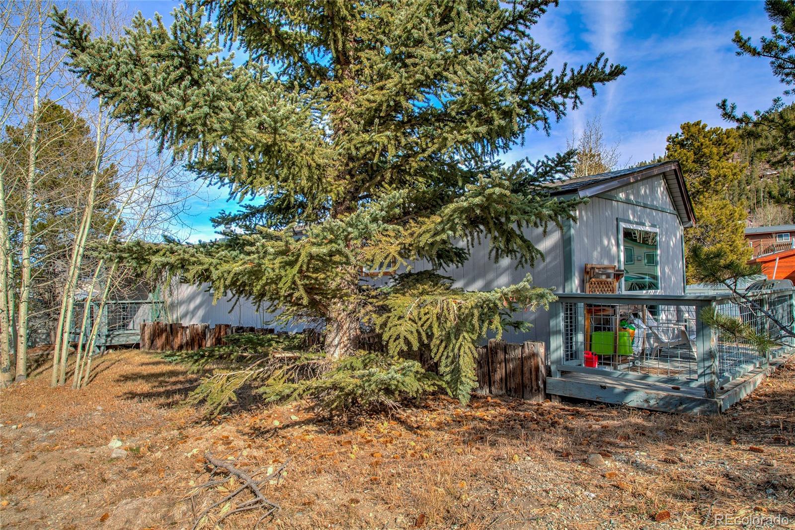 56 Magnum Bonum Drive