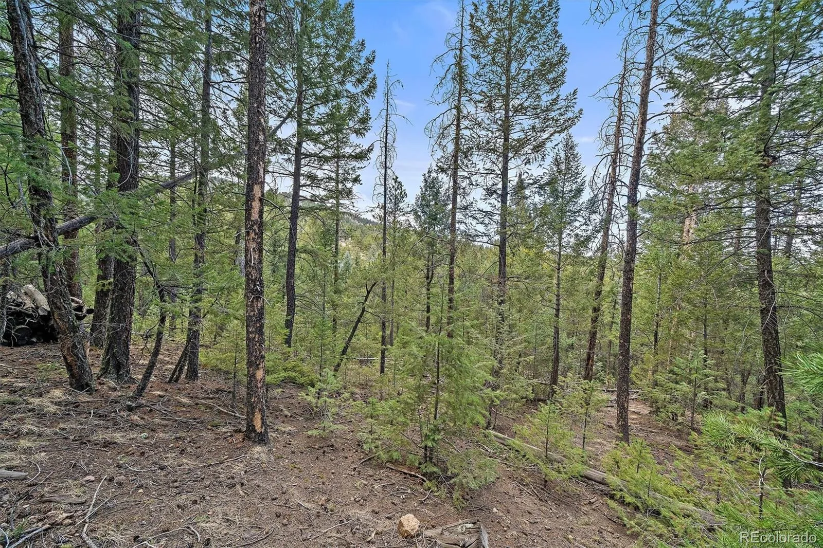 Evergreen, Colorado 80439, United States, ,Land,Pending,19929